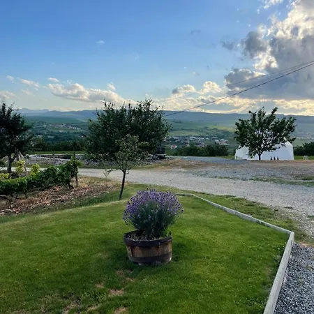 Bed & Breakfast Transylvania Wine