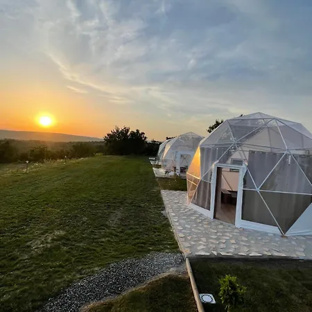 Transylvania Wine Turda