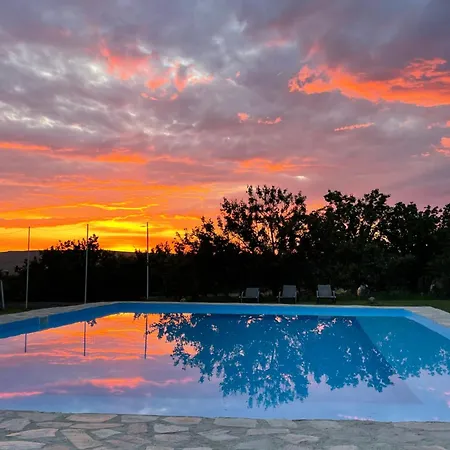 Transylvania Wine Bed & Breakfast Turda