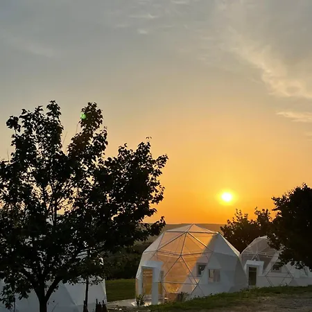 Transylvania Wine Bed & Breakfast Turda